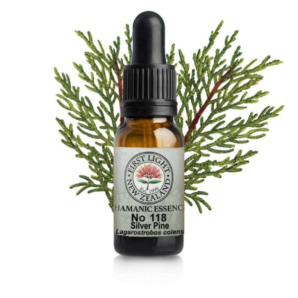 No 118 Silver Pine