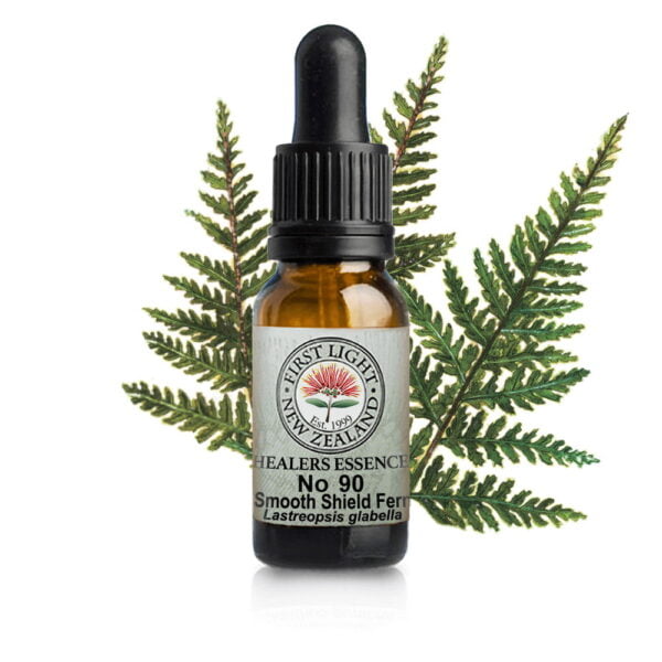 No 90 Smooth Shield Fern