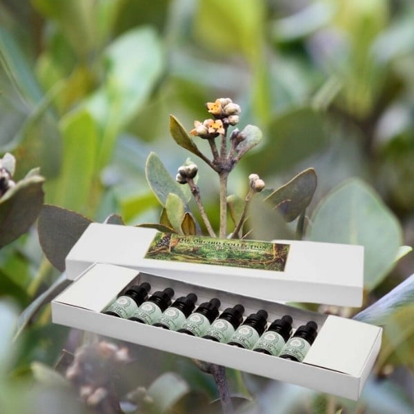 Sacred Temple Teacher Plant Essences No's 177-184