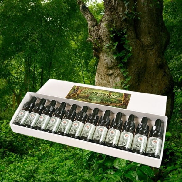 Boxed Sets