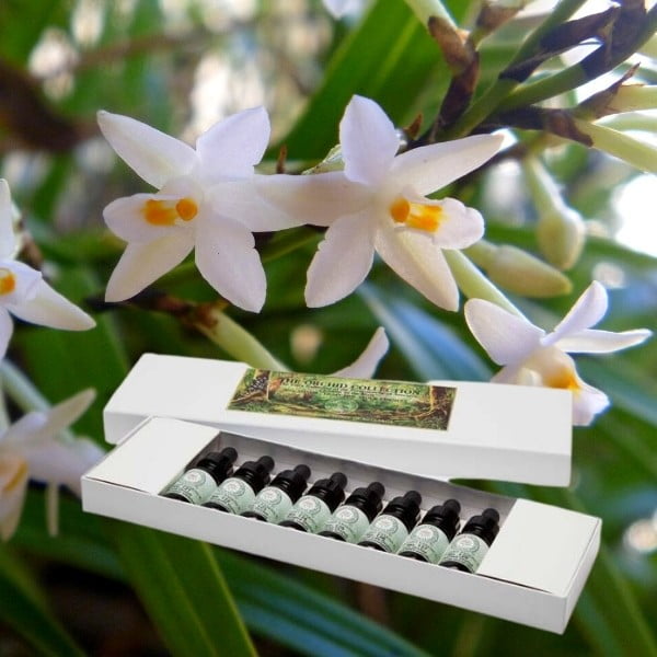 Orchid Teacher Plant Essences No's 121-128