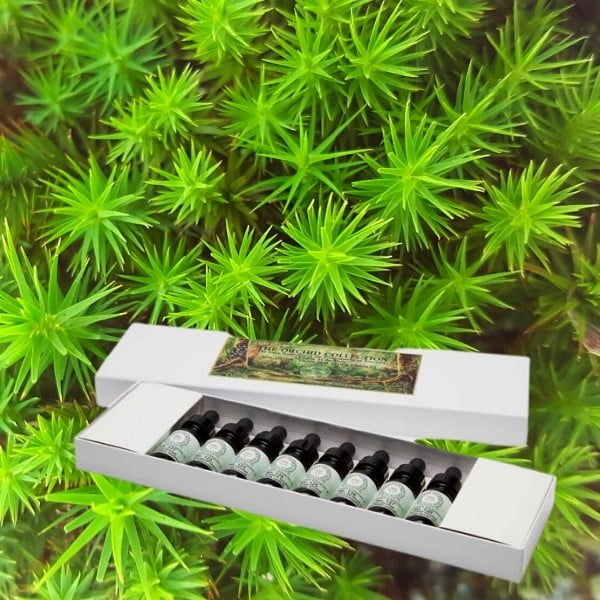 Sacred Moss Teacher Plant Essences No's 161-168