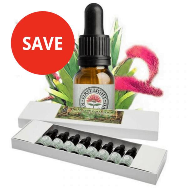Sacred Forest Collection - Boxed Set